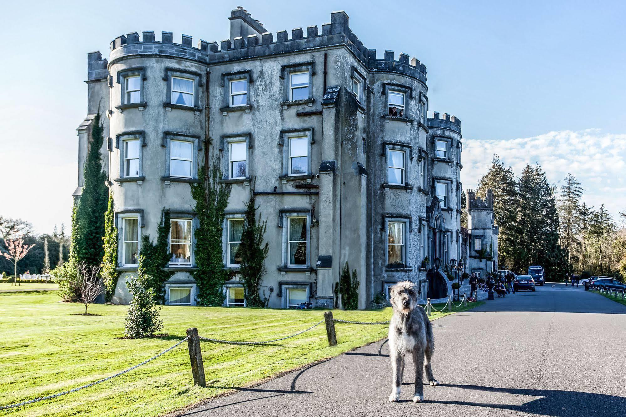 Ballyseede Castle Tralee Exteriör bild